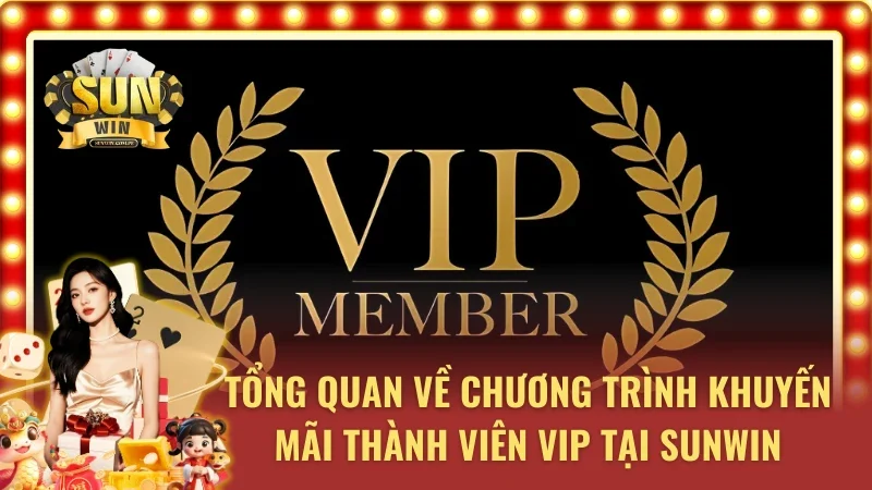 Sơ lược về chương trình khuyến mãi thành viên Vip 